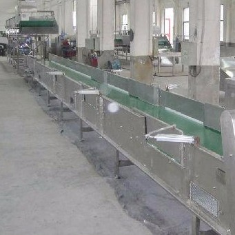 皮帶輸送機(jī)