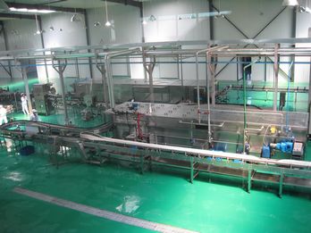 1-1Z91F9445c28.jpg 1-1Z91F9445c28.jpg